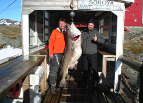 Pesca un bacalao de 47 kilos 3
